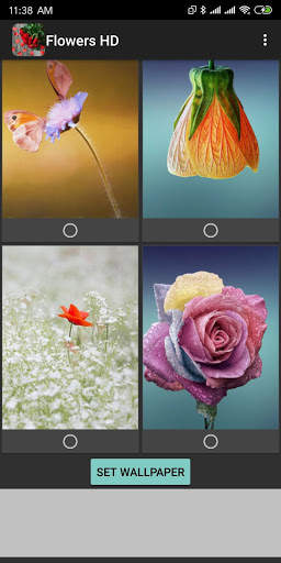 Flowers HD Wallpaper screenshot 4