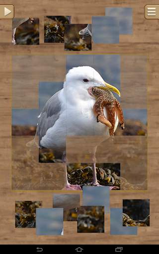 Animal Puzzle Games screenshot 11