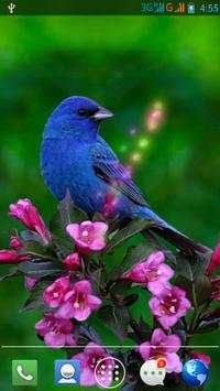 Moving Bird Live Wallpaper screenshot 1