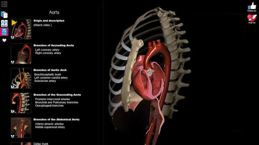 Anatomy Learning - 3D Anatomy Atlas screenshot 11
