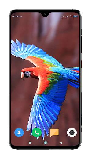 Bird Wallpaper 4K screenshot 2