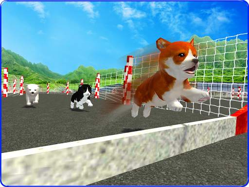 Cute Puppy Dog Racing Sim 2017 screenshot 7