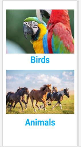 Birds And Animals Sounds Offline 2021 screenshot 2