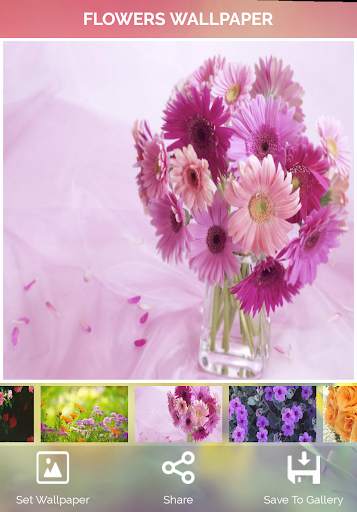 Flowers Wallpaper screenshot 15