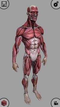 MARA3D Human Anatomy Lite screenshot 4