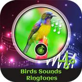 Birds Sounds Ringtones 1.0
