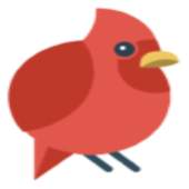 Bird Wallpaper 2.0