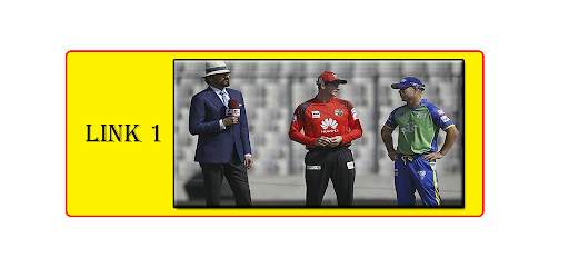 Gtv Live Cricket screenshot 1