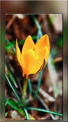 Wallpaper for Realme 7 Pro screenshot 1