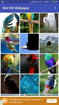 Bird Wallpaper screenshot 3