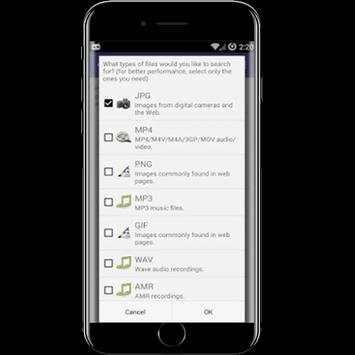 Pro Diskdigger picture Recovery screenshot 2