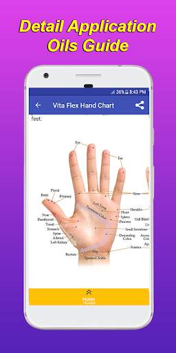 Essential Oils Guide screenshot 7
