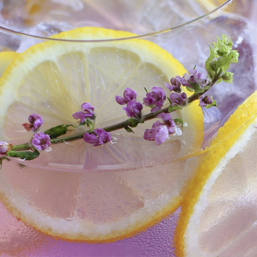 Garnish - Cocktail Recipes icon