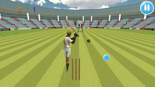 Cricket Bat Ball Hit 3D screenshot 4