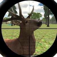 DEER HUNTING MASTER logo