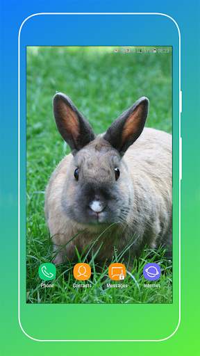Rabbit Wallpaper screenshot 13
