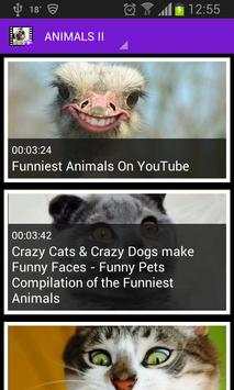 Funny videos screenshot 1
