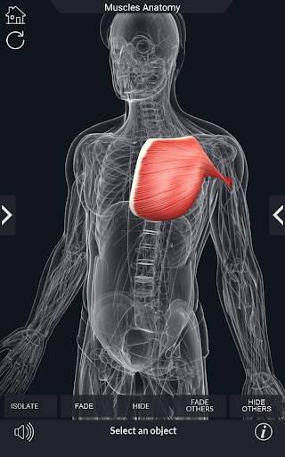 My Muscle Anatomy screenshot 7