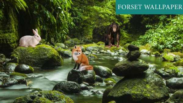 Forest 3D Live Wallpaper screenshot 1