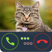 Fake Call Cat icon