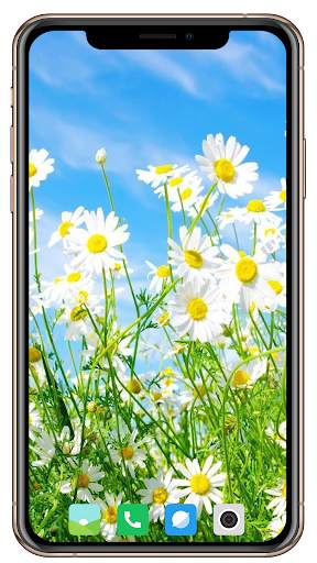 Spring  Wallpaper HD screenshot 4
