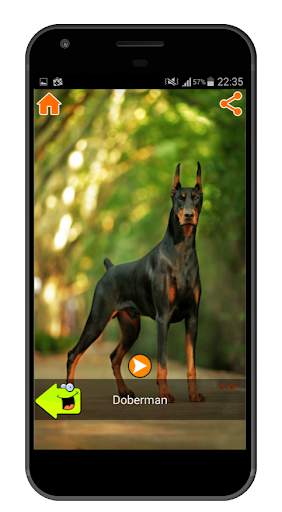 Best Dog Sounds скриншот 2