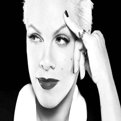 P!nk Best Music(Offline) & Ringstones 1.0