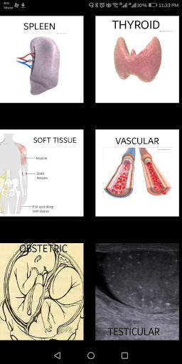 video ultrasound course screenshot 2