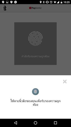 PingID screenshot 2