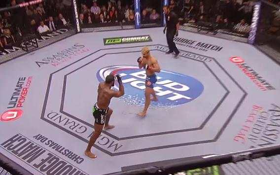 Action: WWE VS UFC Warriors screenshot 3