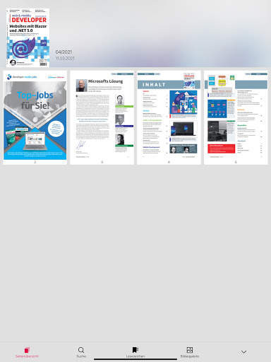 web & mobile DEVELOPER screenshot 4