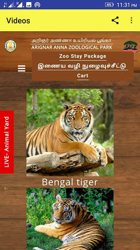 ZOO ANIMALS LIVE VIDEOS screenshot 3