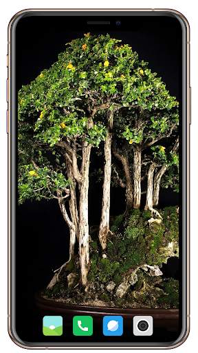 Tree Wallpaper screenshot 13