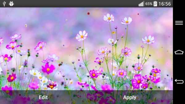 Flowers Live Wallpaper screenshot 7