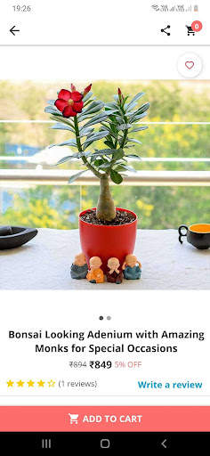 Nurserylive screenshot 4