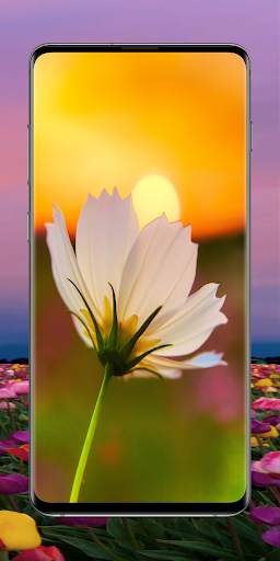 Flower Wallpapers screenshot 7