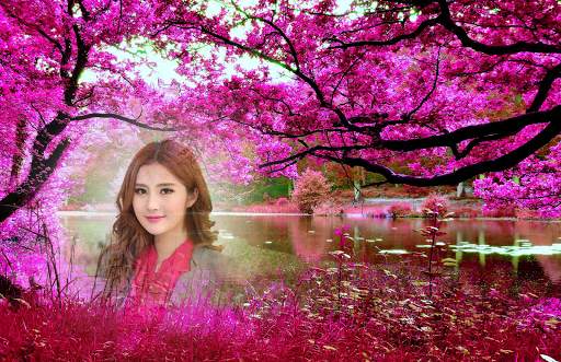 Pink Forest Photo Frames screenshot 4