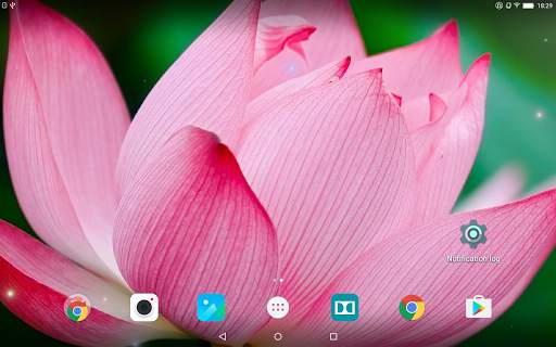 Tropical Flower Live Wallpaper screenshot 9