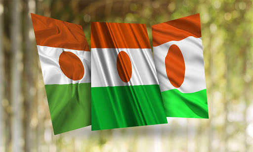 Niger Flag Wallpaper screenshot 3