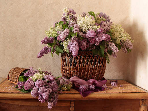 Lilac Flowers Live Wallpaper (Backgrounds) screenshot 12