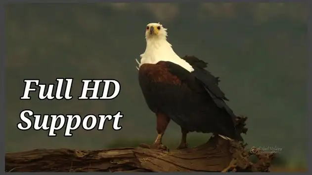 AC3 video player for all media screenshot 2