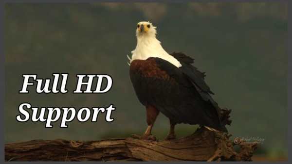 AC3 video player for all media screenshot 2