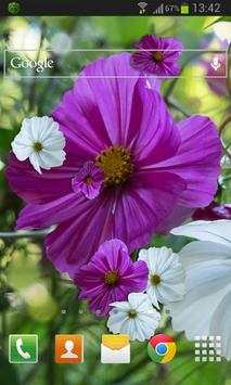 Summer Flowers Live HD screenshot 2