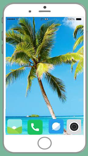 Palm Tree Full HD Wallpaper screenshot 12