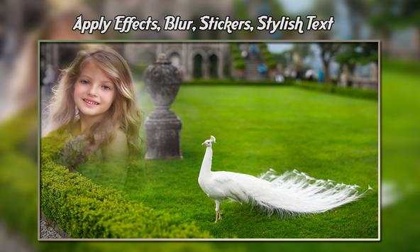 Birds Photo Frames screenshot 5