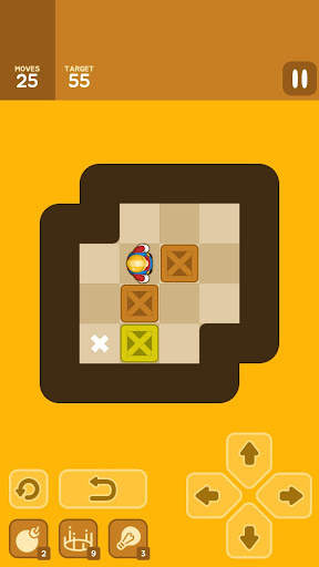 Push Maze Puzzle screenshot 13