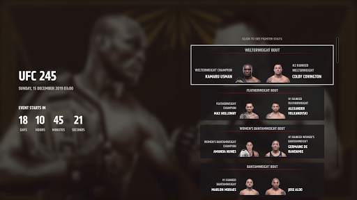 UFC screenshot 25
