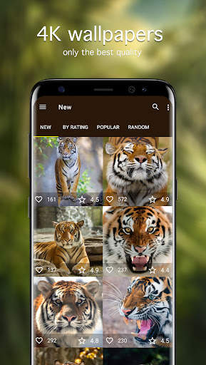 Tiger Wallpapers 4K screenshot 2