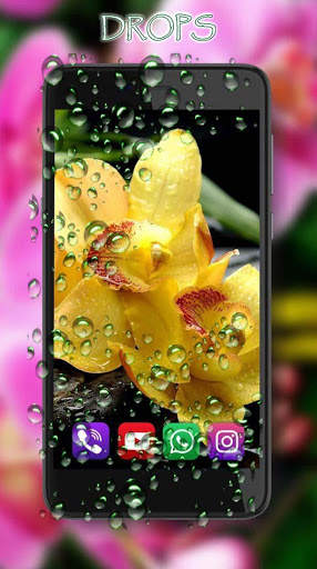 Orchids Photo screenshot 2