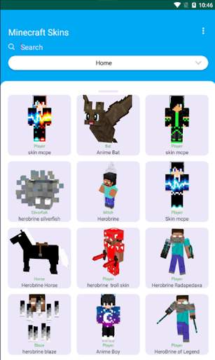 World Craft Skin MCPE (Unlimited Edition) screenshot 1